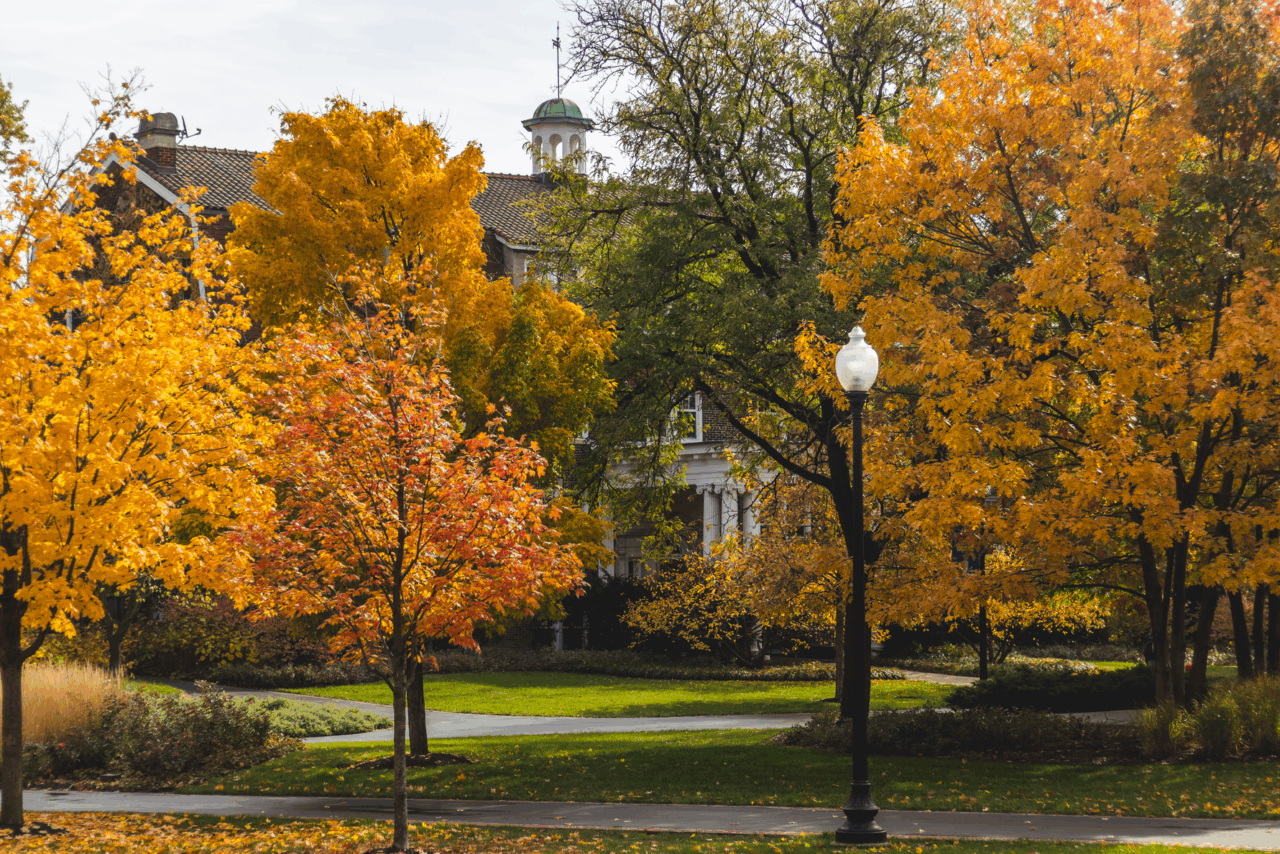 Fall leaves on campus