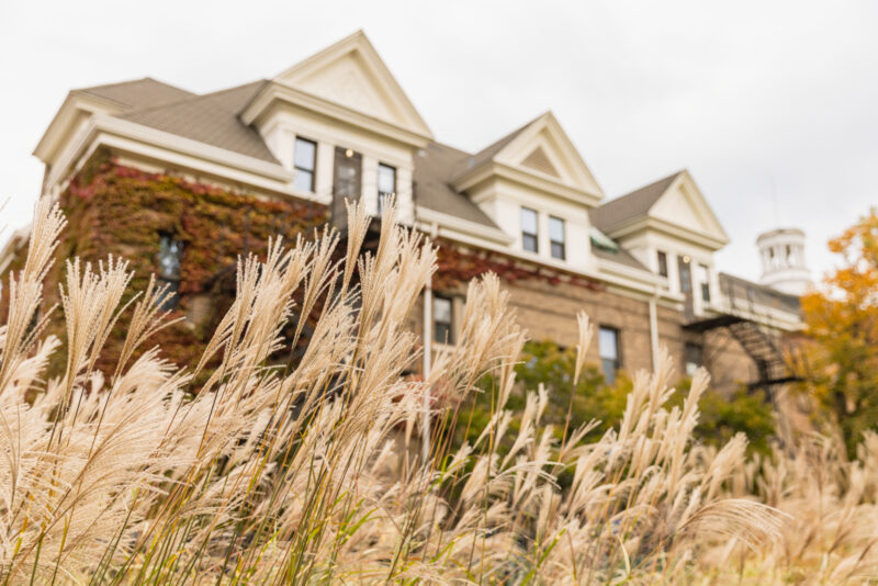 North Park University campus, Wilson Hall with tall prarie grass in the front