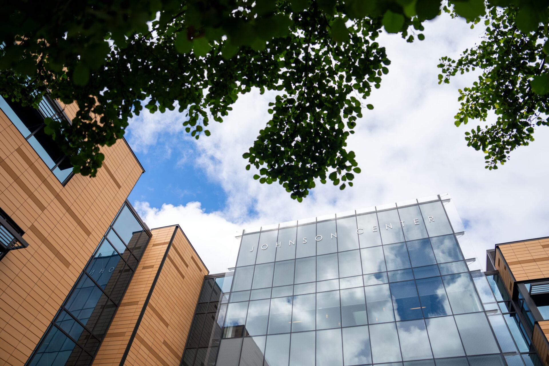 A view of the front of the Johnson Center, looking up toward the top of the building with the sky and leaves from a nearby tree in view.